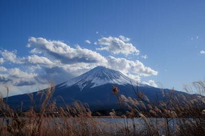 Mount Fuji