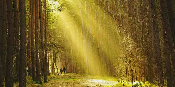Columbus People Trail